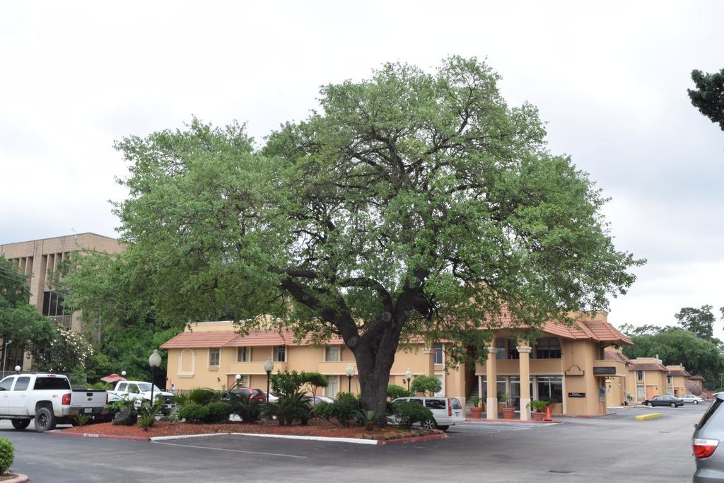 Memorial Inn And Suites Houston Exterior photo